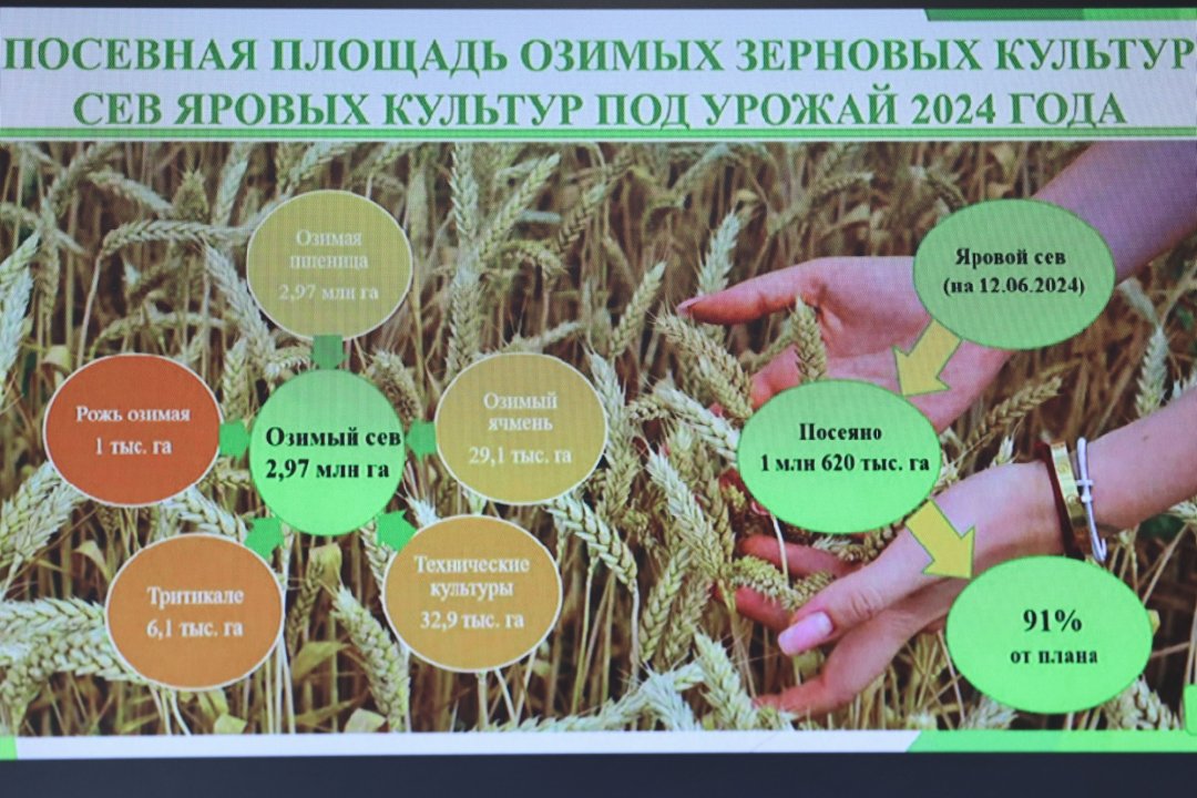 Губернатор: «В отрасль донского сельского хозяйства будет направлено 8,9 млрд рублей господдержки»